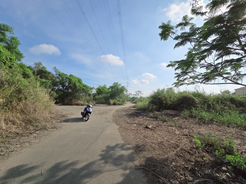Ảnh 6