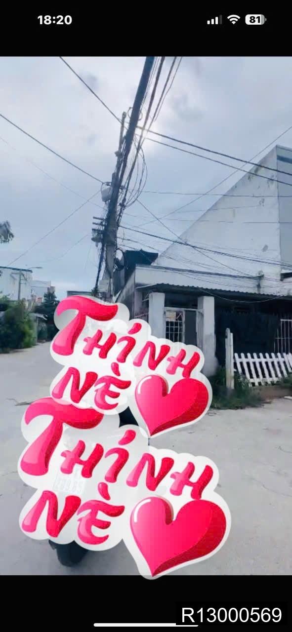 Ảnh 6