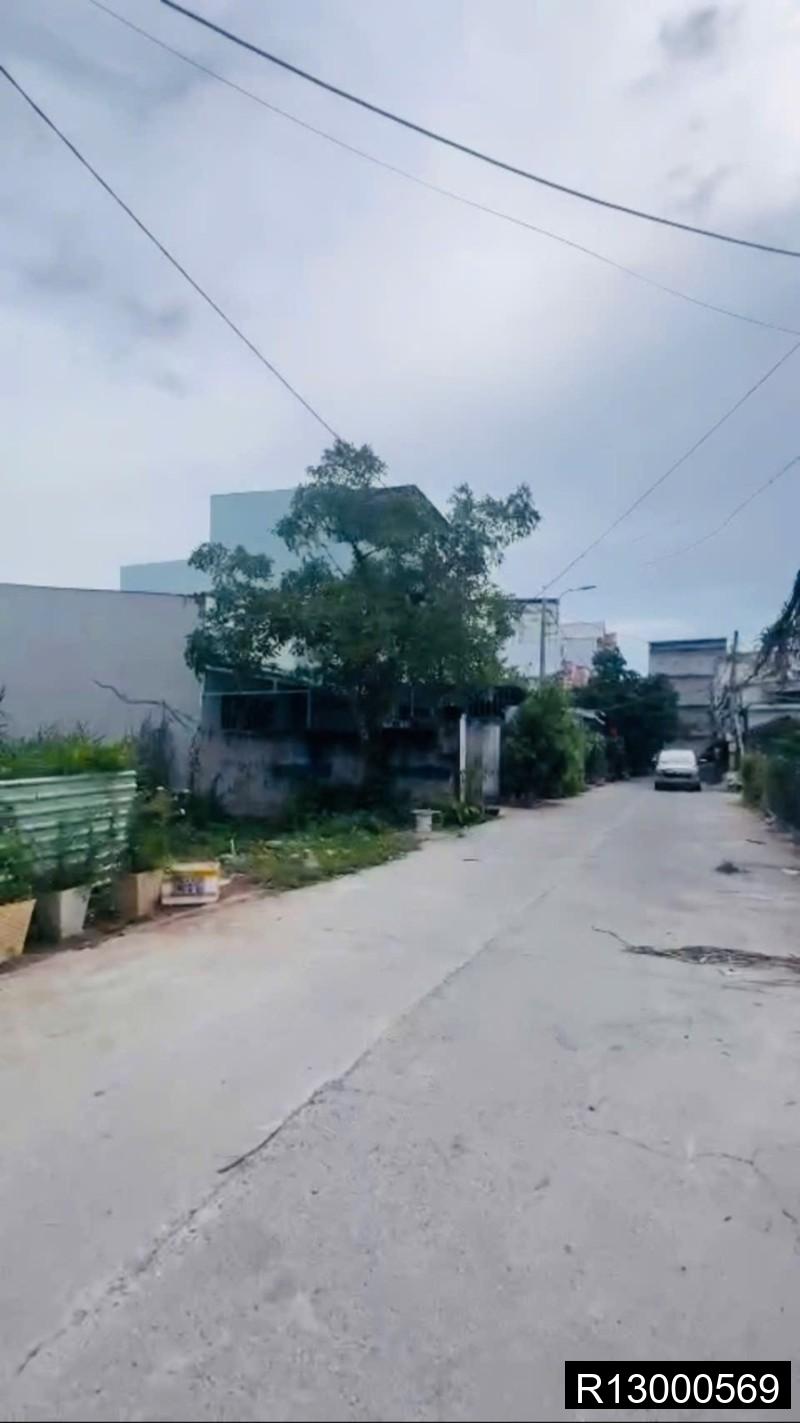 Ảnh 7