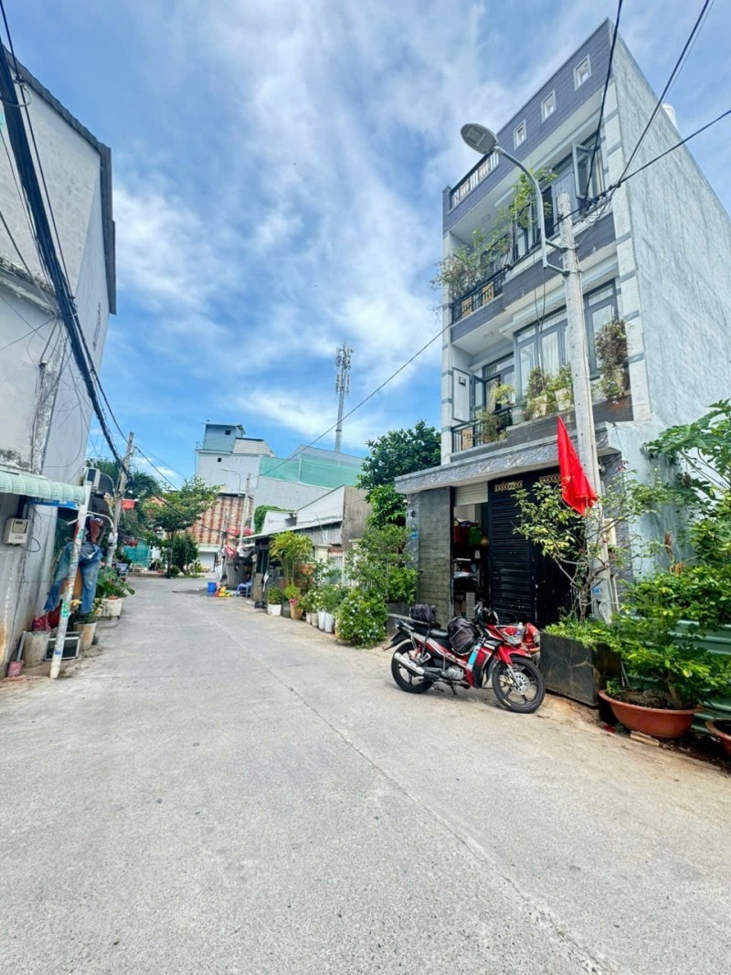 Ảnh 2
