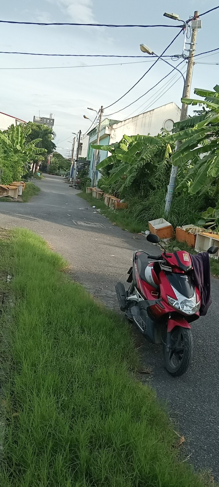 Ảnh 2
