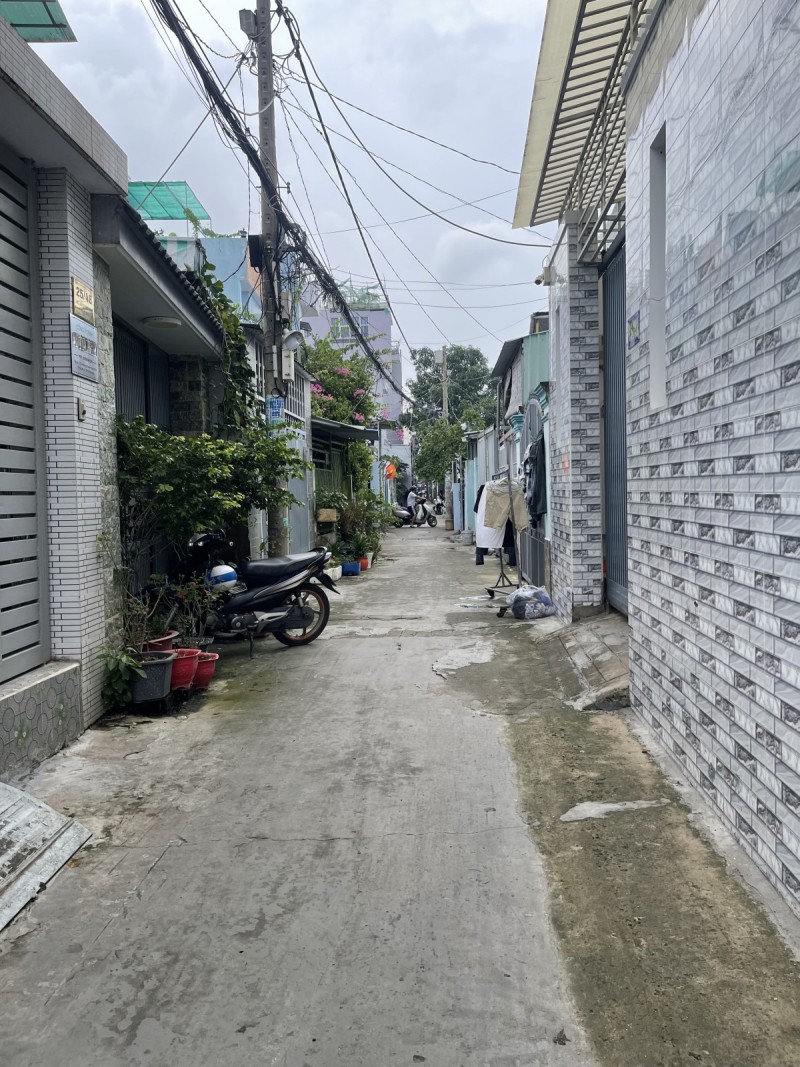 Ảnh 5