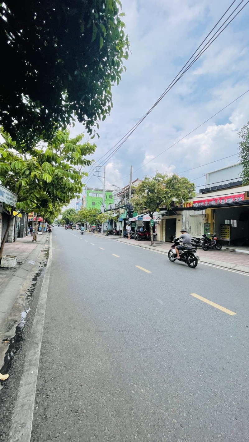 Ảnh 11