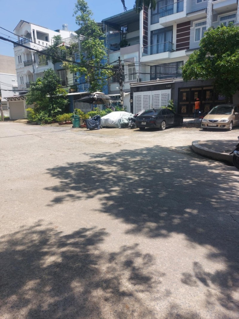 Ảnh 7