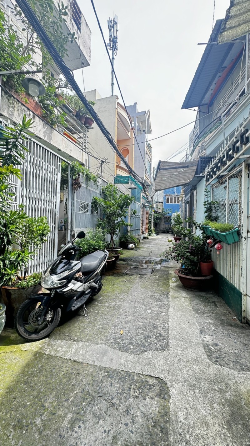 Ảnh 2