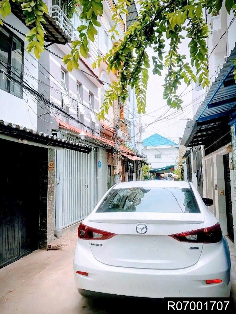 Ảnh 5